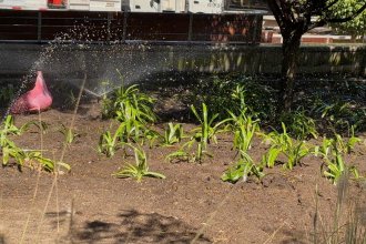 WhatsApp Image 2026-04-01 at 16.03.42 (1).jpeg